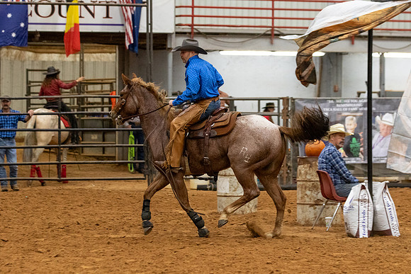 Mule&FuturityR2-455
