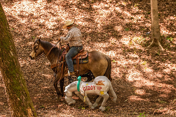 HodgesRace-6153