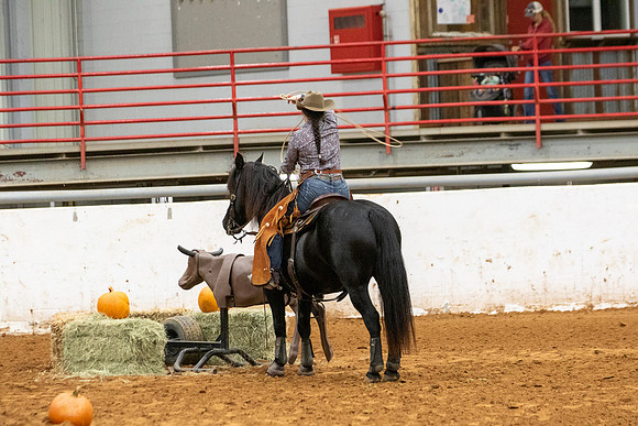 Mustang&MuleR1-166