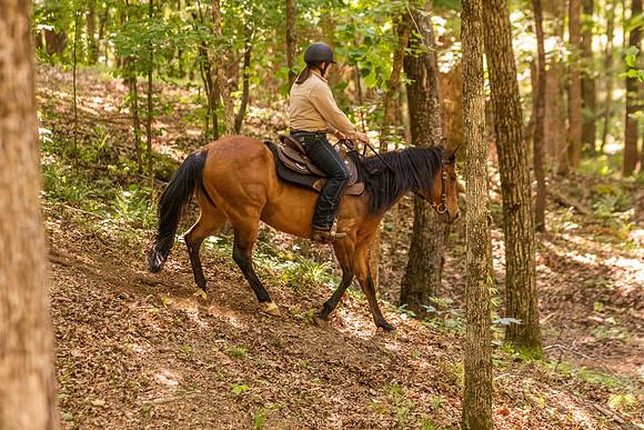 HodgesRace-6568