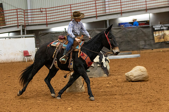 Mule&FuturityR2-74