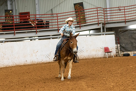 Mule&FuturityR2-29