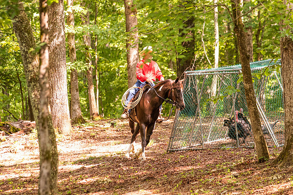 HodgesRace-5334