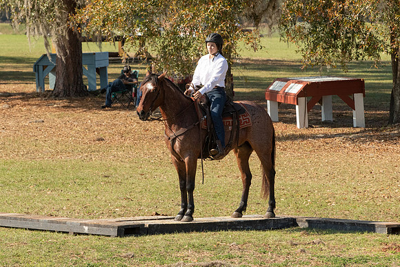 EXCAOcala-7731