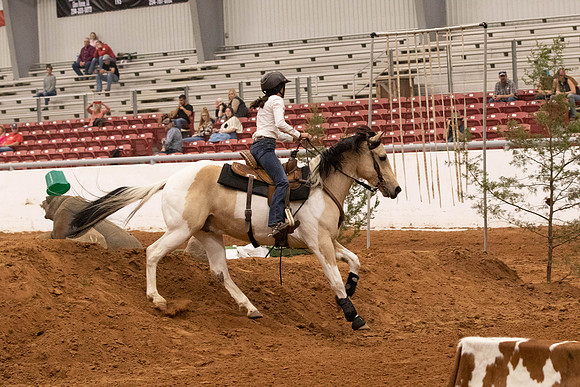 Futurity-6047