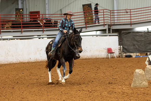 Mule&FuturityR2-220