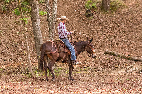 HodgesRace-7435