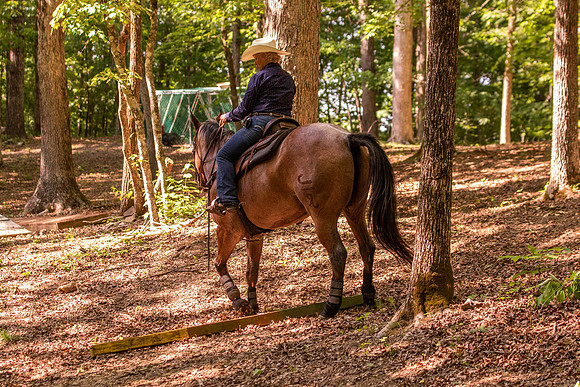 HodgesRace-6545