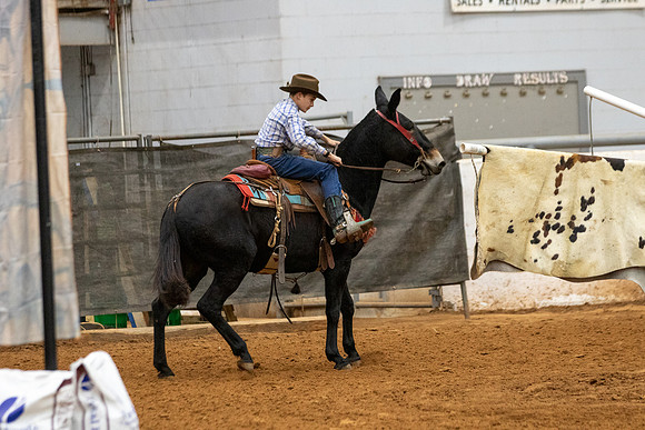 Mule&FuturityR2-64