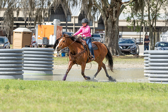 Meredyth-8000