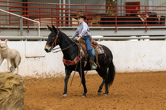 Mule&FuturityR2-53