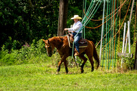IMG_5014