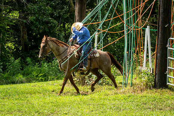 IMG_5181