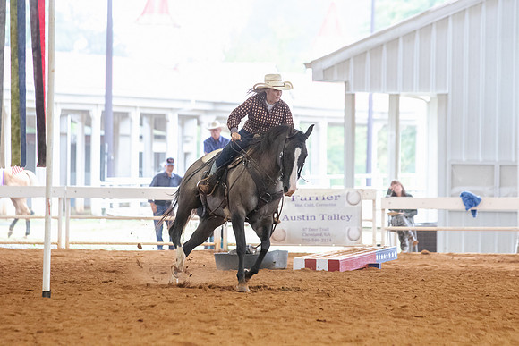 EXCARegionals-447