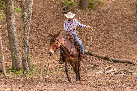 HodgesRace-7436