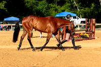 4HArenaWest-0985