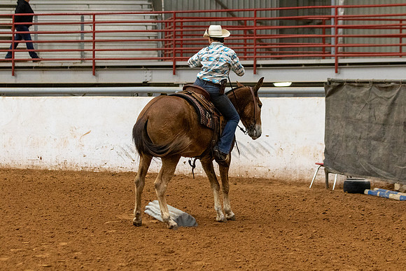 Mule&FuturityR2-1