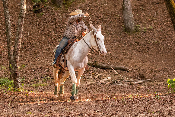 HodgesRace-7616