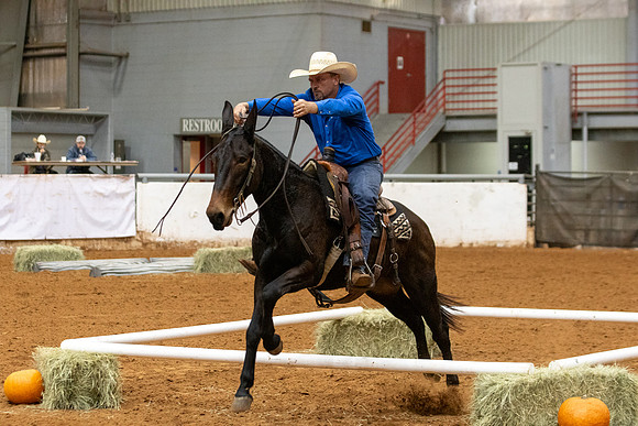 Mule&FuturityR2-86
