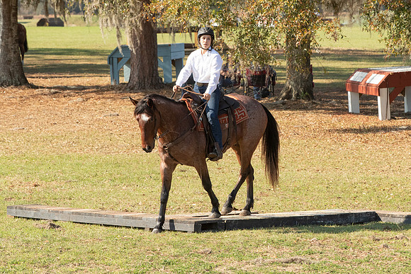 EXCAOcala-7732