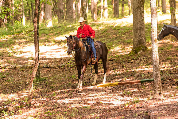 HodgesRace-5338