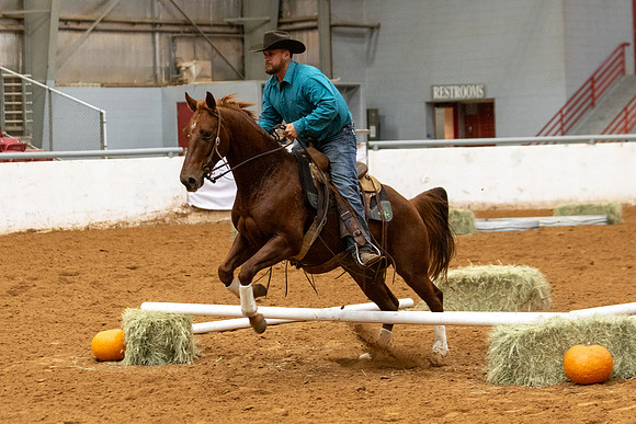 Mule&FuturityR2-372