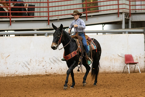 Mule&FuturityR2-52