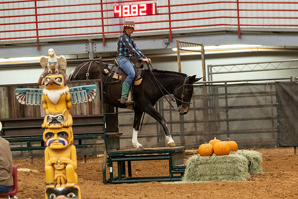 Mule&FuturityR2-206