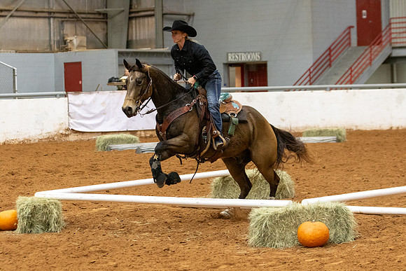 Mule&FuturityR2-532