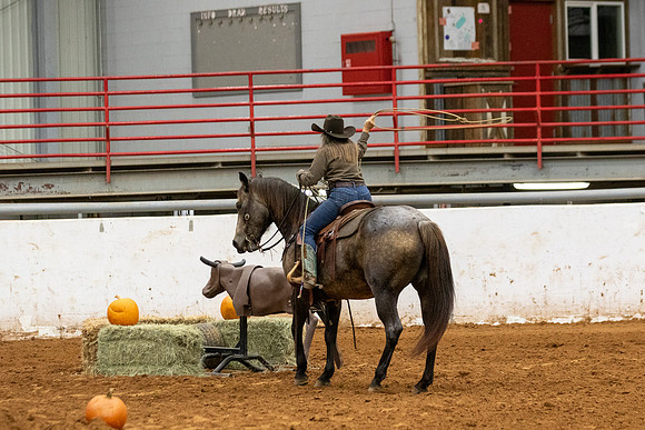 NonProR1-426