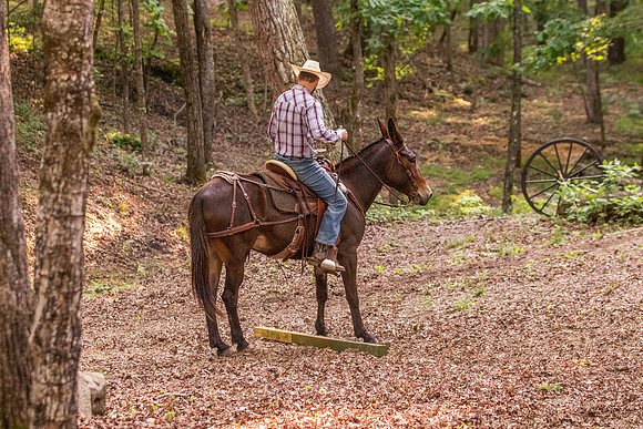 HodgesRace-7459