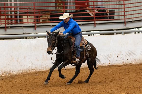Mule&FuturityR2-88
