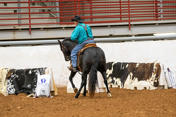 Mustang&MuleR1-293