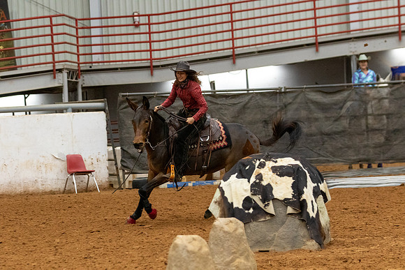 Mule&FuturityR2-115