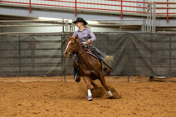 Mule&FuturityR2-506