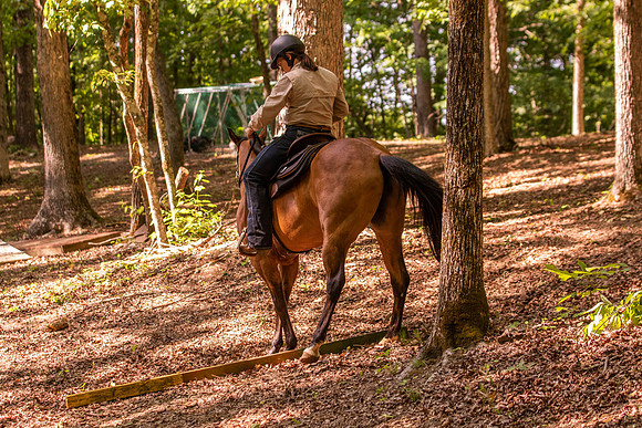 HodgesRace-6578