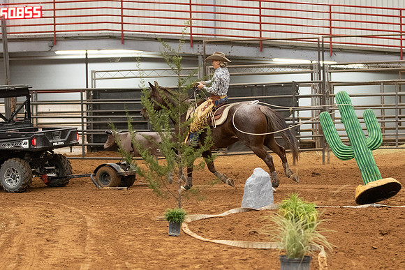 0G1A6558-398
