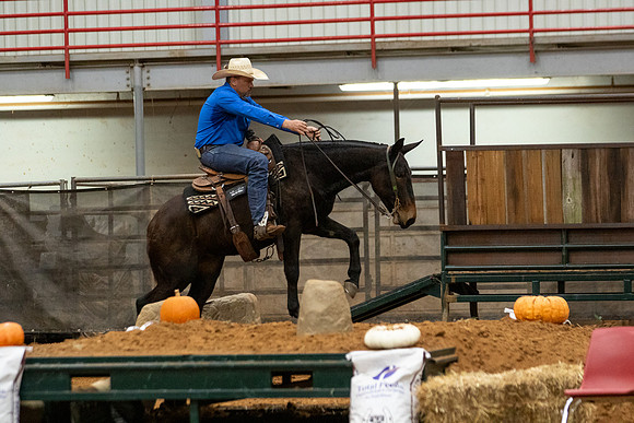 Mule&FuturityR2-79