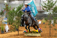 ProR1-9542