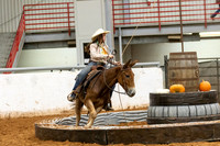 Mustang&MuleR1-855