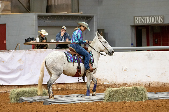 Mule&FuturityR2-145