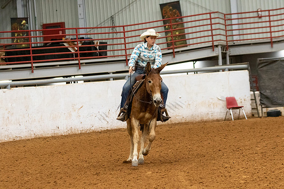 Mule&FuturityR2-28
