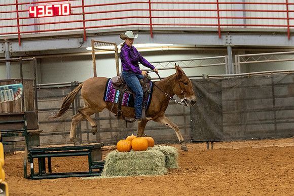 Mule&FuturityR2-227