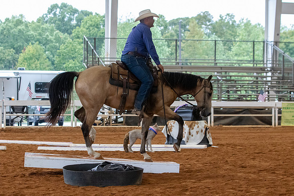 EXCARegionals-23
