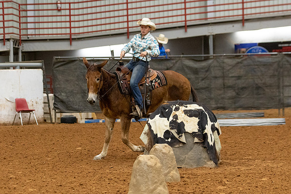 Mule&FuturityR2-24