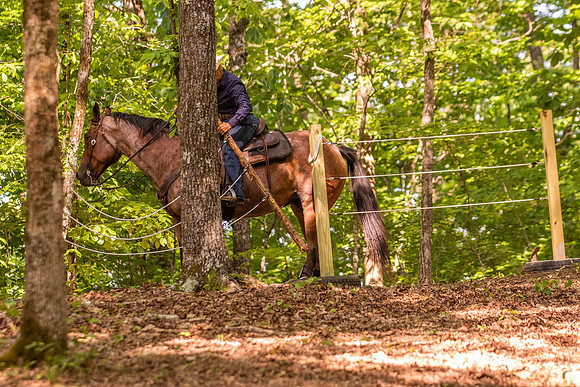 HodgesRace-6552