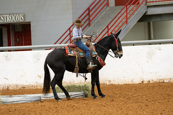 Mule&FuturityR2-55