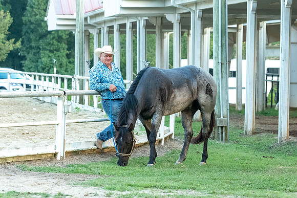 Gainesville-8503