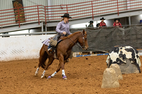 Mule&FuturityR2-517