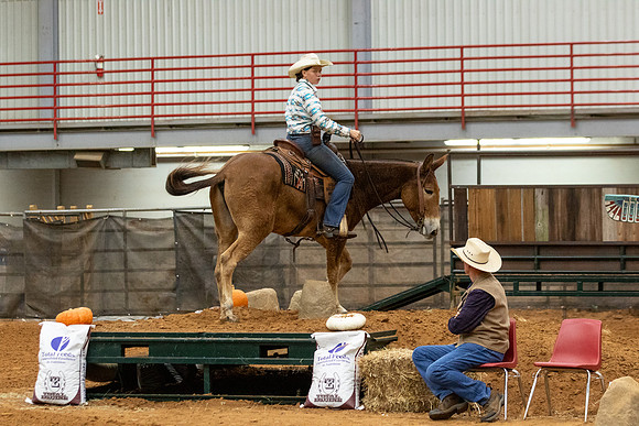 Mule&FuturityR2-9